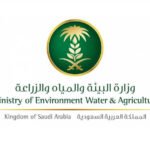 وزارة البيئة والمياه والزراعة